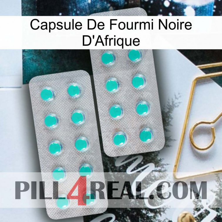 Africa Black Ant Capsule 29
